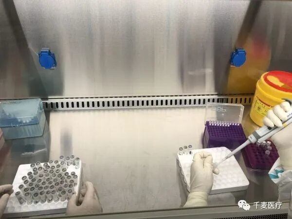 202003061******2380.jpg