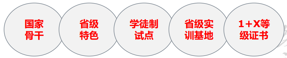 6f4b607066e54612af8471bbc22c9842.Png