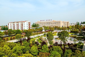 校园四季