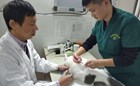动物医学专业